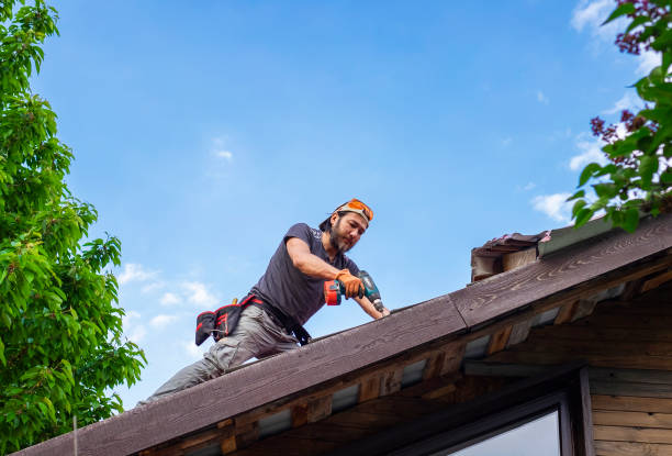 Best Roof Insulation Installation  in Alliae, NC